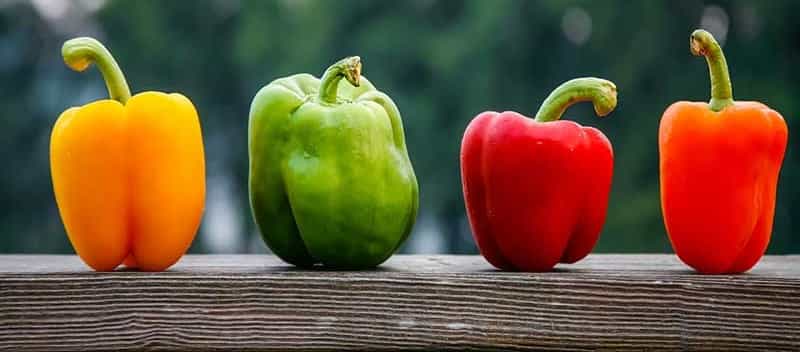 تصویر 1 از فلفل دلمه ای رنگی گلخانه‌ای تازه‌چین با کیفیت تضمینی