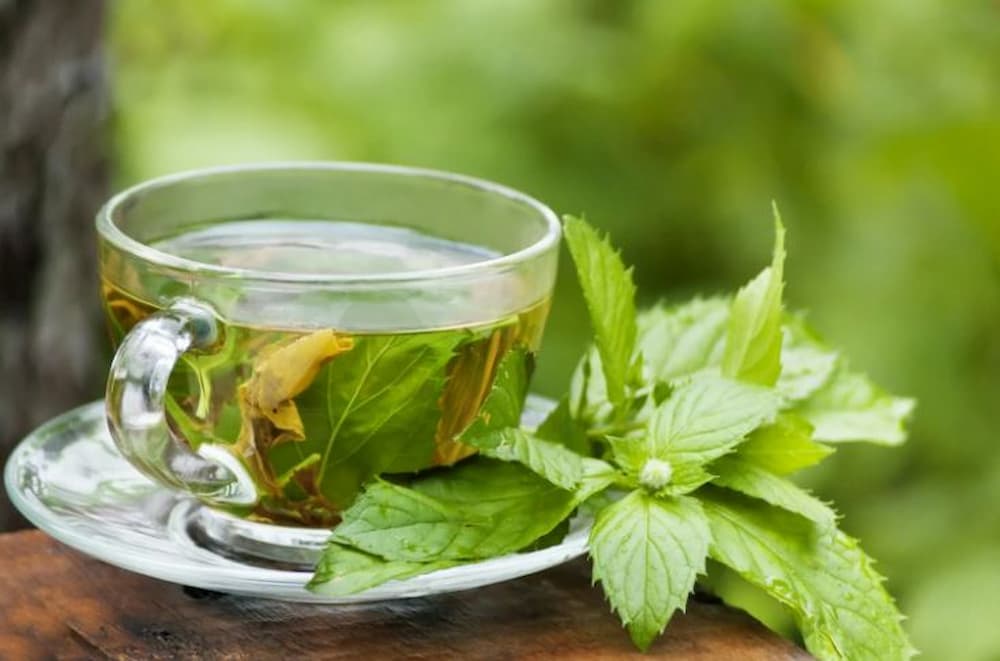 تصویر 1 از معرفی بهترین عرق نعناع قیمت مناسب
