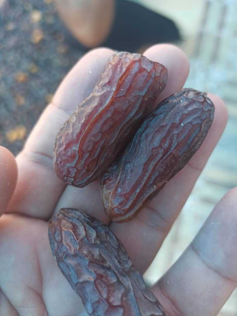 خرما پیارم مجلسی لوکس و درجه یک