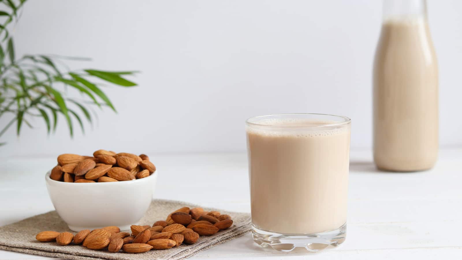 شیر بادام درختی ارگانیک با خواص بی‌ نظیر برای سلامتی