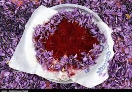 تصویر 4 از زعفران نیم مثقال مجتهدی زعفران خالص با رنگ‌ دهی عالی