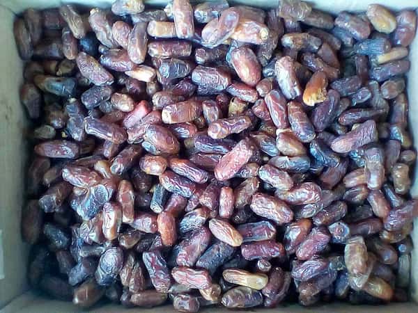 تصویر 4 از خرما پیارم جهرم تازه و با‌ کیفیت مستقیم از تولید کننده