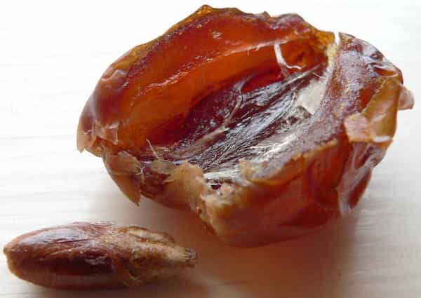 خرما کبکاب بدون هسته + منبعی عالی انرژی