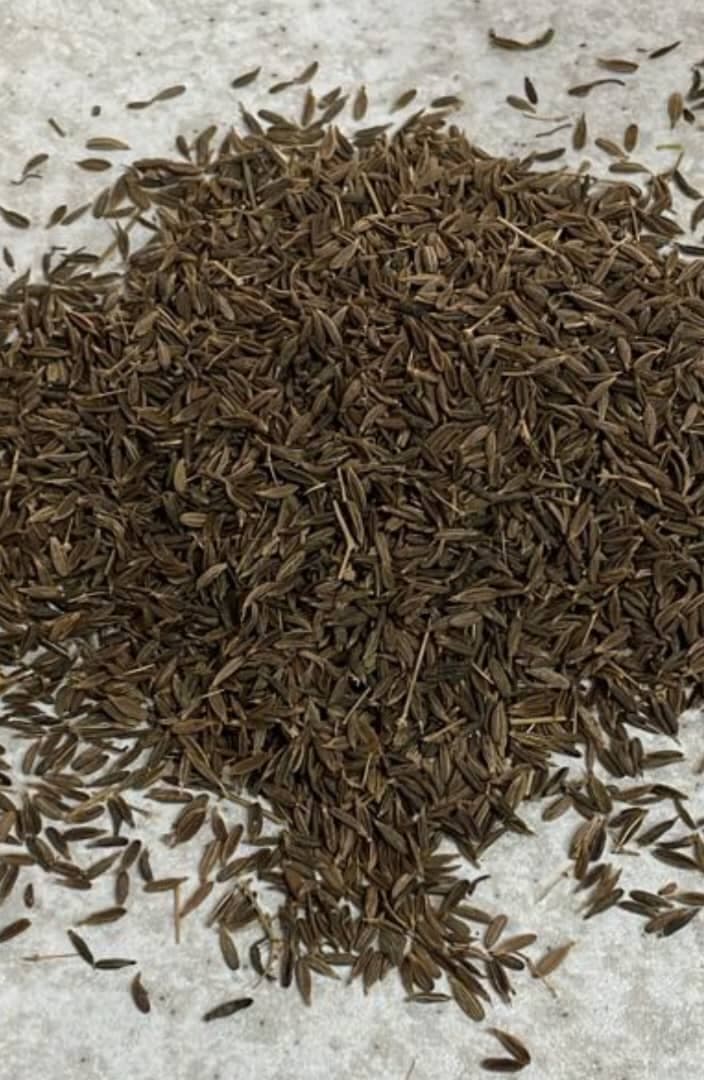 زیره سبز خراسان با دانه‌ های سالم و یکدست