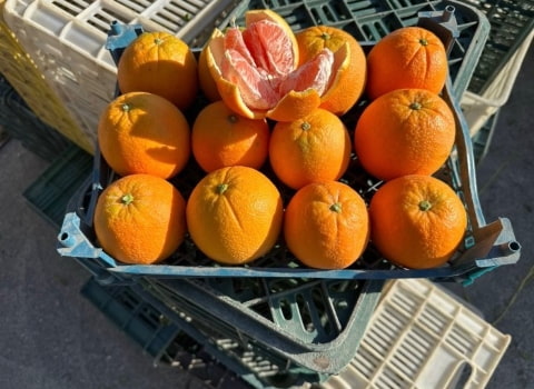 تصویر 3 از نارنگی ارگانبک طبیعی با طعم شیرین و بافت لطیف