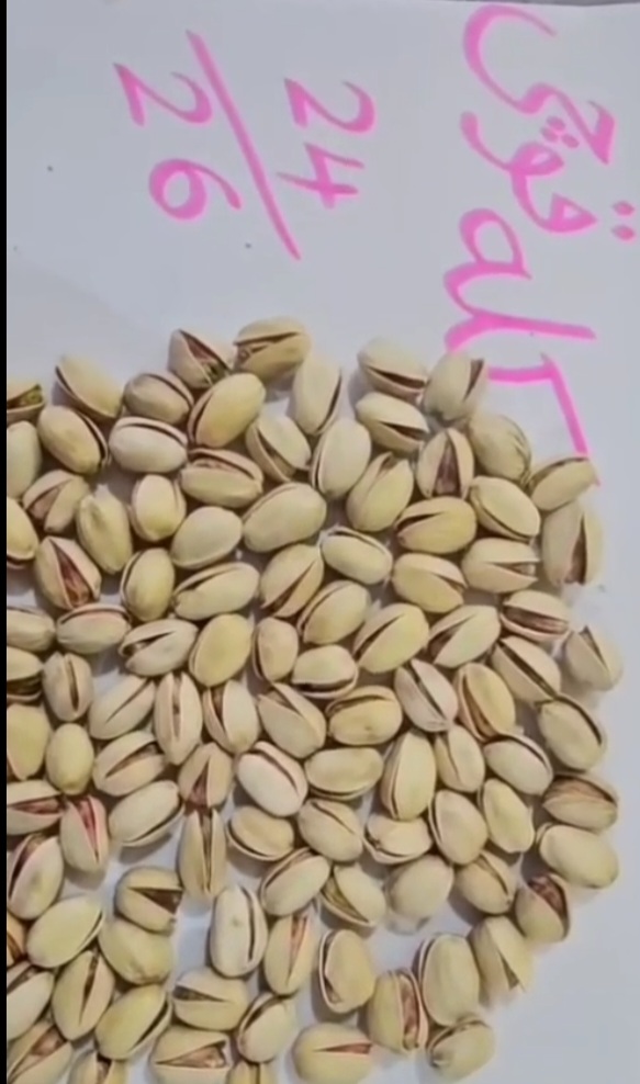 فروش پسته کله قوچی اصل رفسنجان مخصوص صادرات