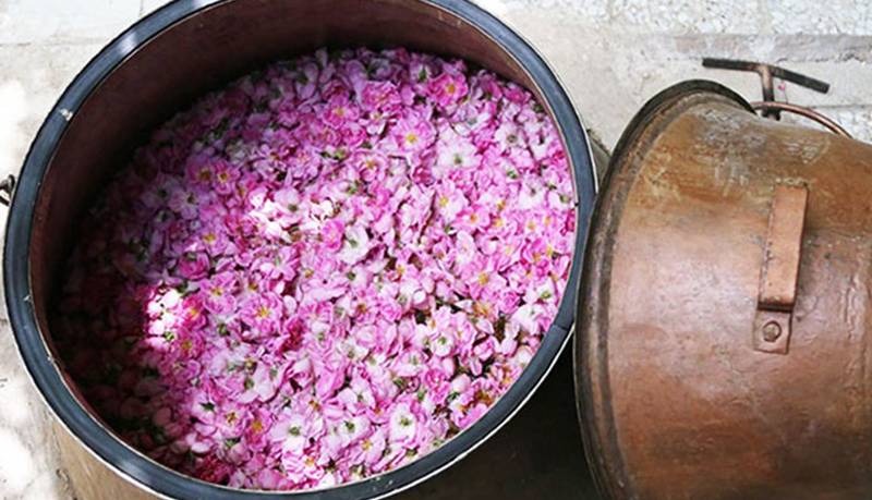 گلاب حاج رضا آقایی طبیعی دست ساز
