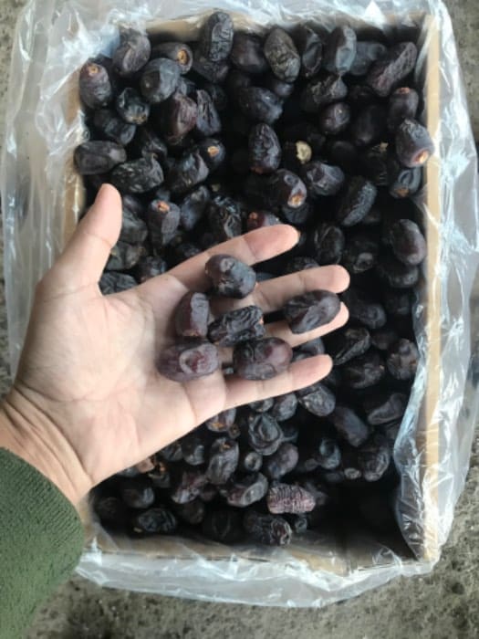 انواع خرمای رطب مضافتی جنوب فله و کارتنی تازه