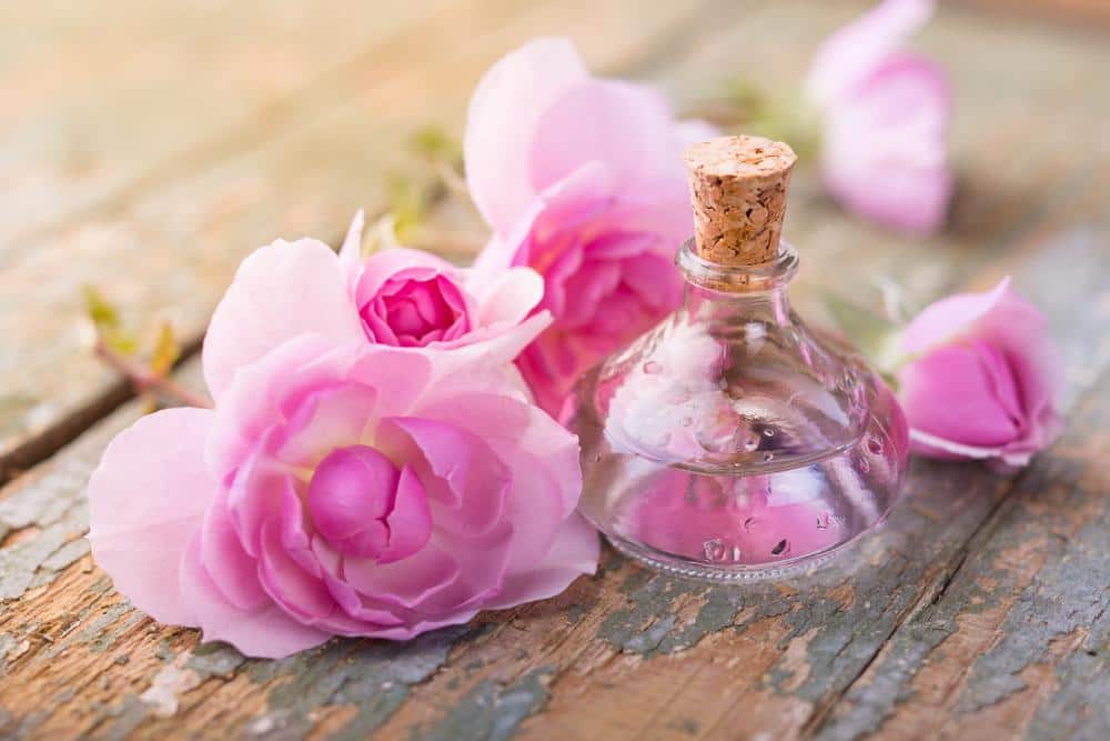 تصویر 2 از گلاب دو آتیشه با خواص طبیعی و ارزشمند برای سلامت