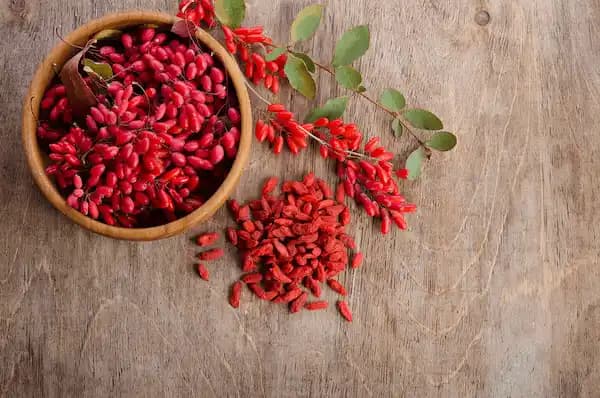 زرشک تازه قرمز با کیفیت عالی و مرغوب