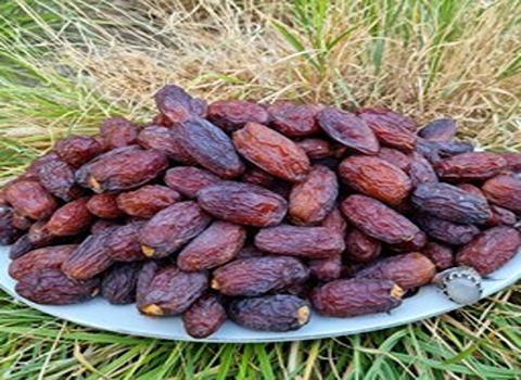 تصویر 3 از خرما مضافتی جهرم انتخابی سبک و مغذی برای کودکان