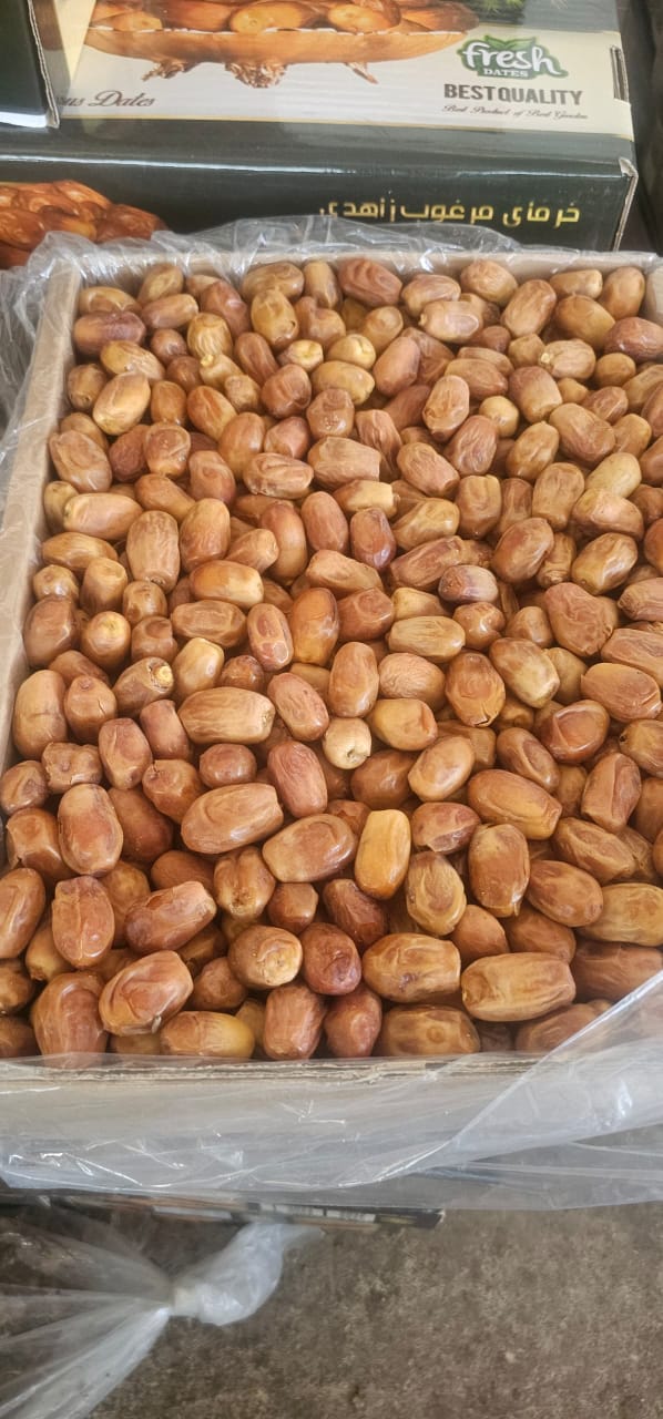 خرما زاهدی کیلویی + خشک دست‌ چین شده ویژه