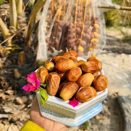 تصویر 3 از خرما زاهدی عراق با کیفیت عالی