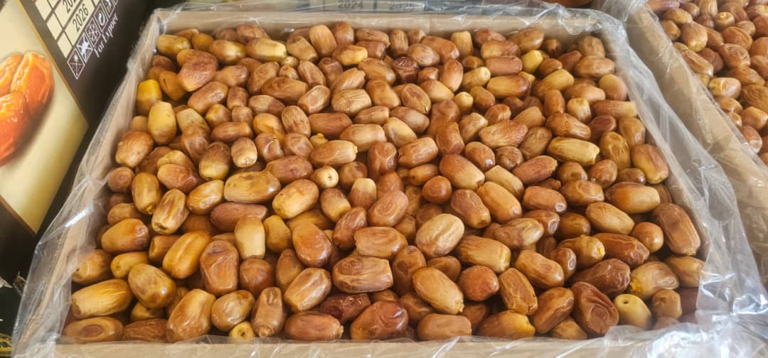 تصویر 2 از خرما زاهدی تازه چیده شده بوشهر با کیفیت بالا