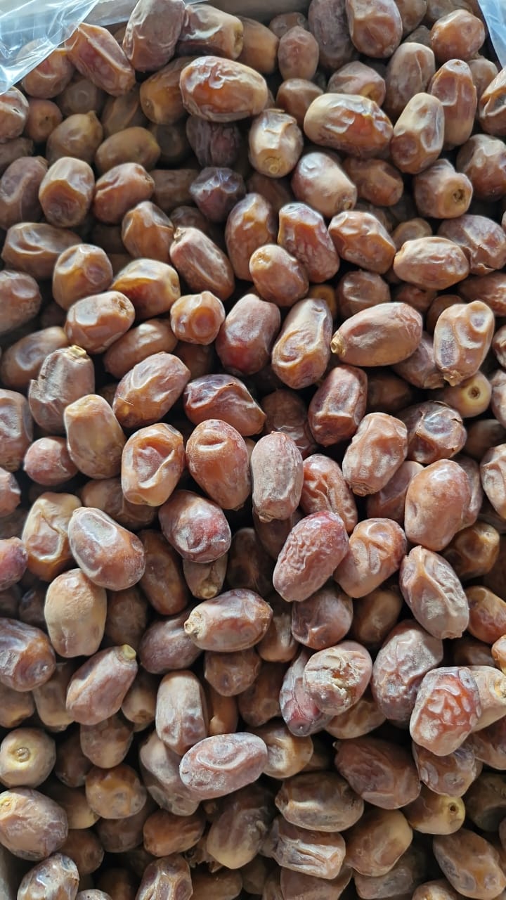 تصویر 3 از خرما زاهدی تازه چیده شده بوشهر با کیفیت بالا