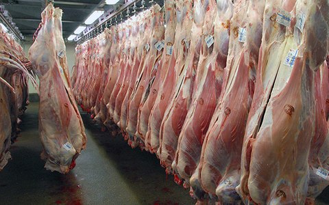 تصویر 1 از گوشت گوسفندی تهران کشتار روز مراکز عرضه