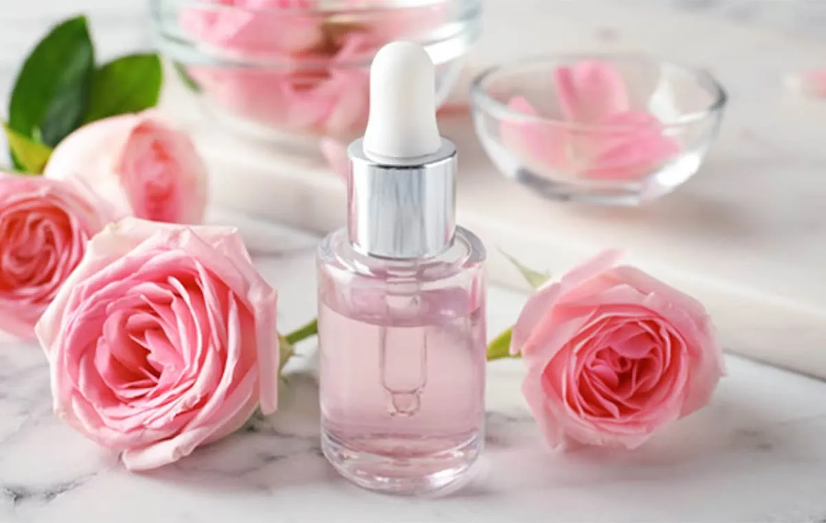 گلاب میمند فارس با عطر خالص و تازگی طبیعی