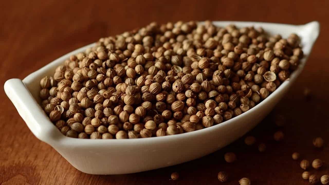 فروش گشنیز