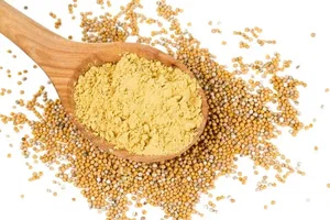 گشنیز خرد شده افزودنی مطبوع در غذاهای سنتی و مدرن