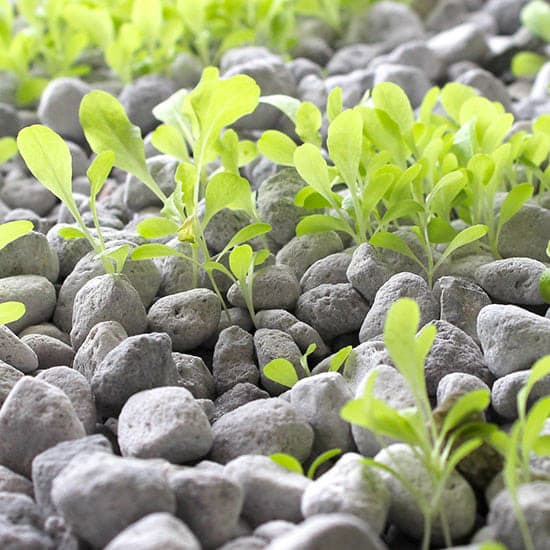 پوکه معدنی برای باغچه و فضای سبز