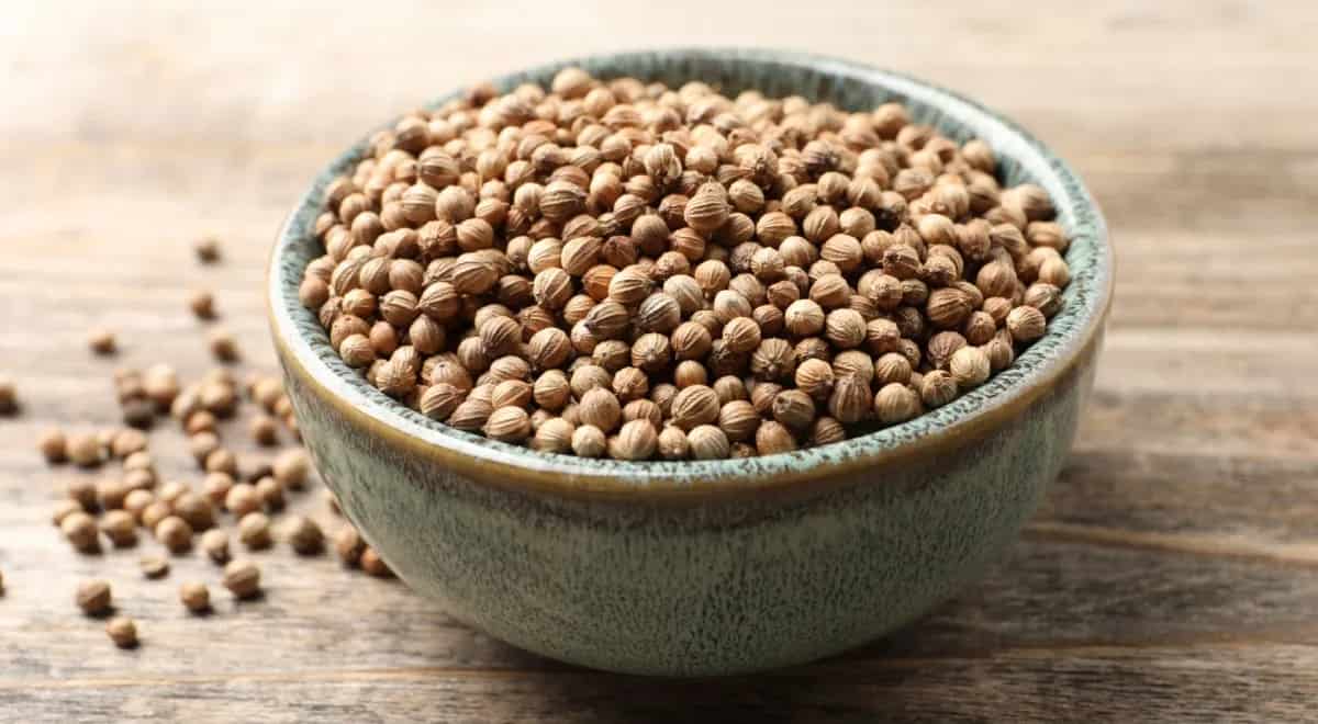 تصویر 4 از تخم گشنیز رفسنجان آماده مصرف در انواع غذا ها