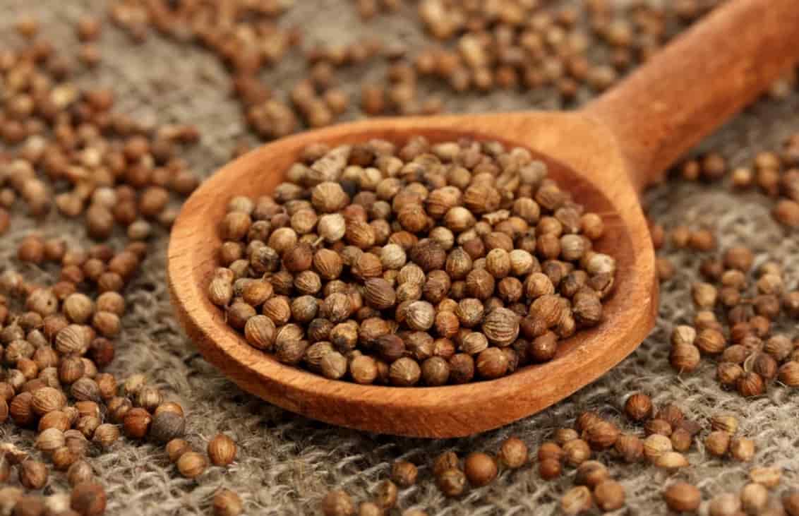 تصویر 4 از بذر گشنیز تازه دانه‌ های یکدست و مقاوم برای مصرف طولانی