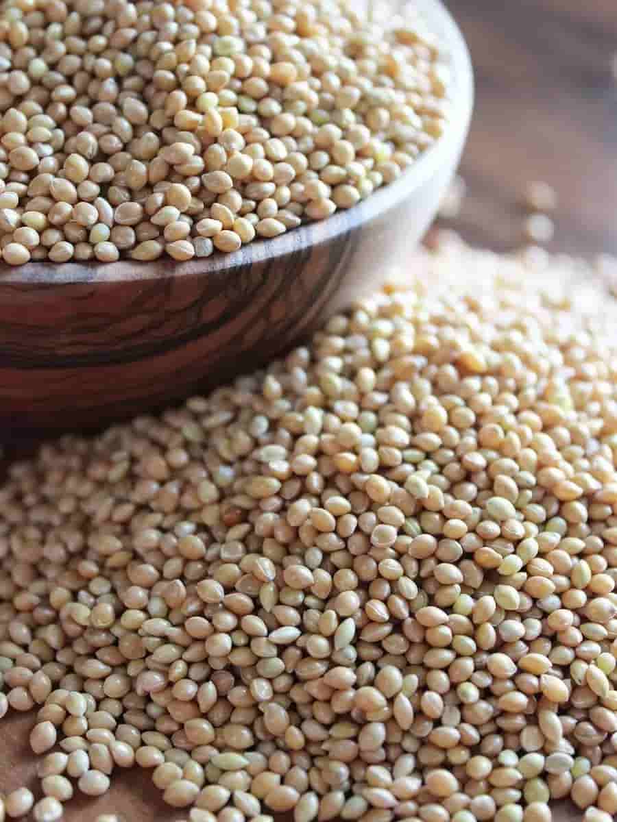تصویر 4 از تخم گشنیز صادراتی مناسب بسته‌ بندی صادراتی و داخلی