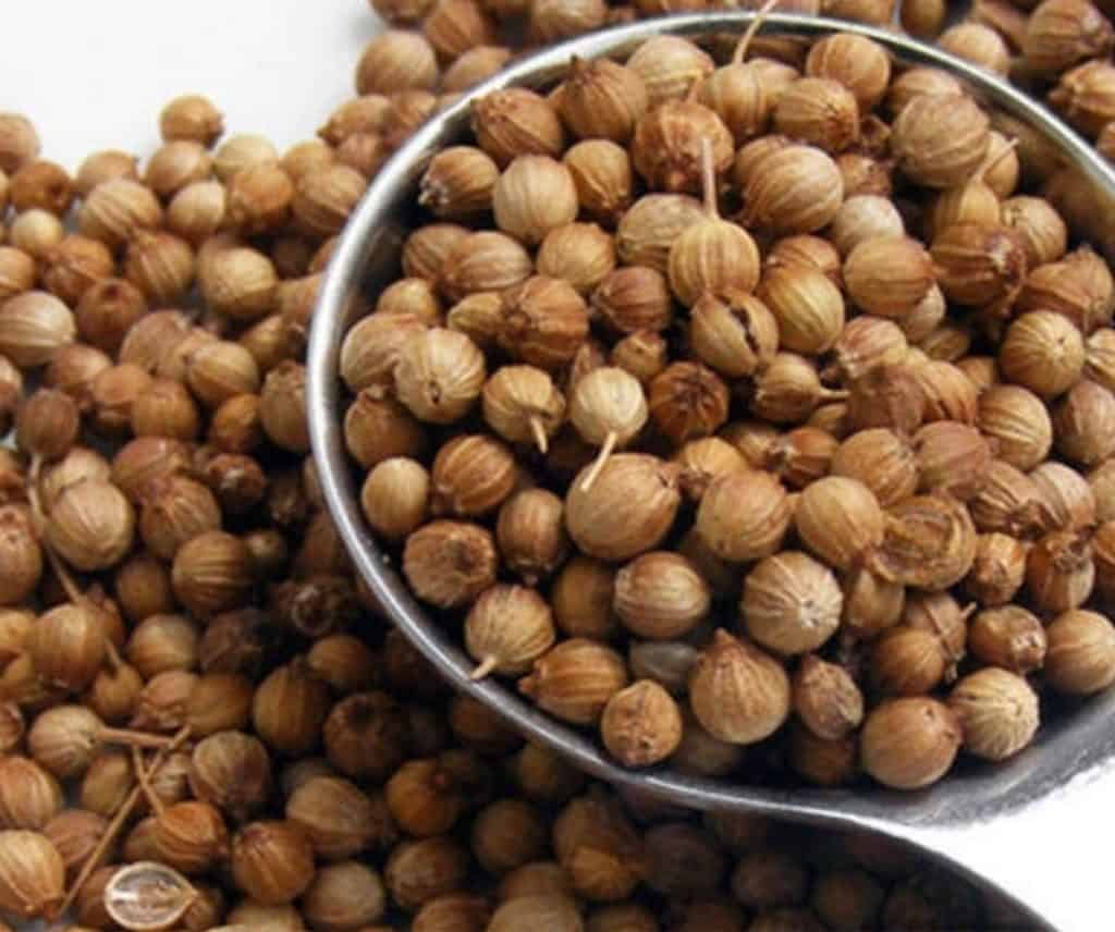 تصویر 1 از تخم گشنیز سپاهان شهر کاربری گسترده خوراکی