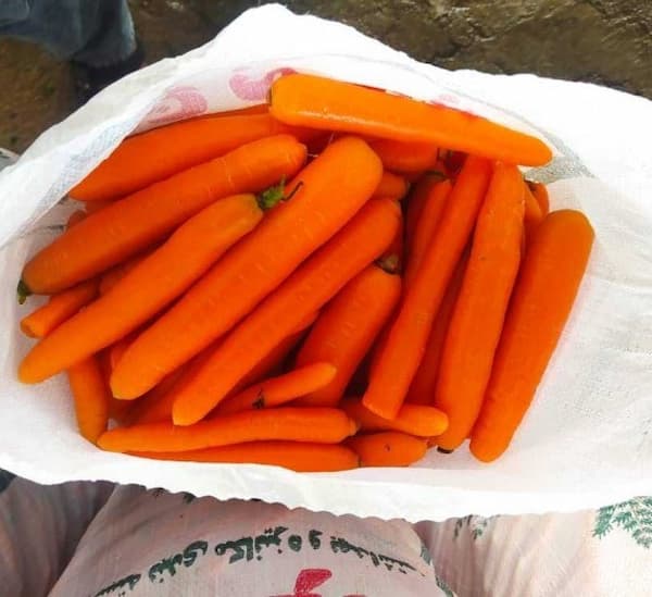 تصویر 3 از گونی هویج با مقاومت بالا در برابر رطوبت و نفوذ آب