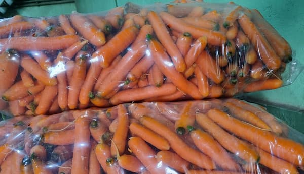 تصویر 2 از گونی هویج با مقاومت بالا در برابر رطوبت و نفوذ آب