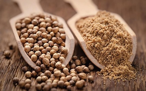 تصویر 2 از تخم گشنیز خرم آباد بسته‌ بندی مقاوم برای نگهداری آسان