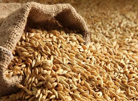 تصویر 3 از گونی غلات مناسب بسته‌ بندی انواع غلات و مواد غذایی