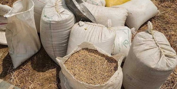 تصویر 4 از گونی غلات مناسب بسته‌ بندی انواع غلات و مواد غذایی