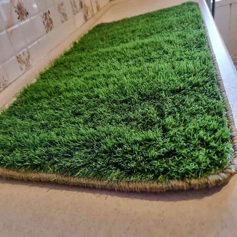 تصویر 2 از چمن مصنوعی پادری برای ورودی های تمیز