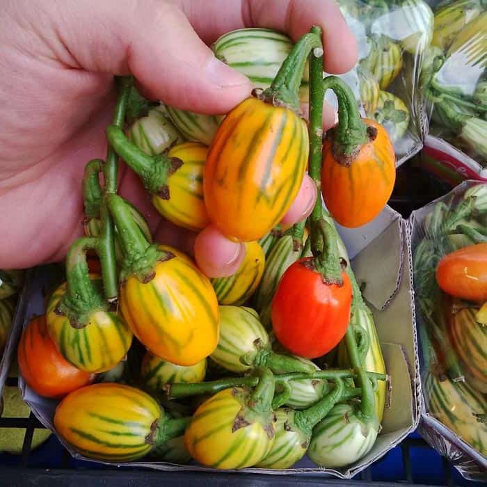 تصویر 4 از بادمجان توگا مناسب ترکیب با انواع مواد غذایی
