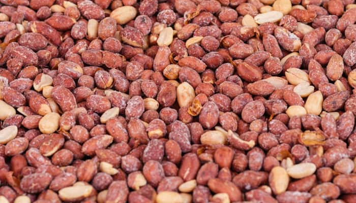 تصویر 1 از بادام زمینی ریز شور گزینه ای اقتصادی و دلچسب