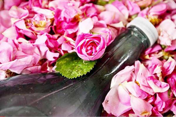 تصویر 3 از گلاب یک لیتری ربیع با عصاره طبیعی و تازگی بی‌ نظیر