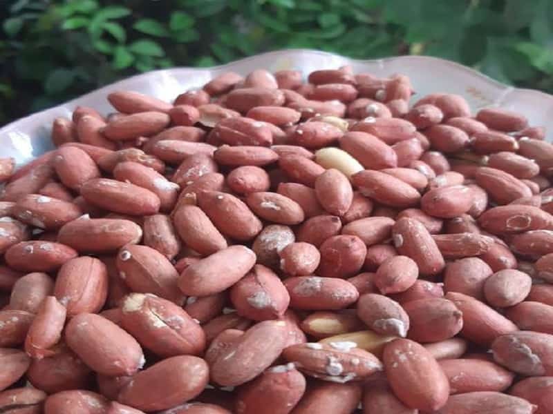 تصویر 3 از بادام زمینی دو آتیشه انتخابی خاص و لذیذ
