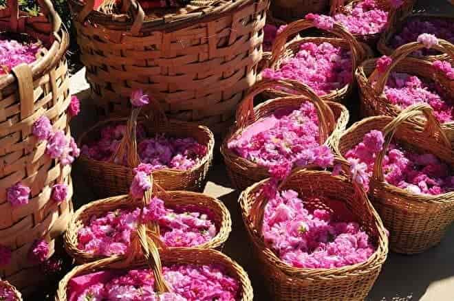 تصویر 2 از گلاب سه آتیشه با خلوص بالا و عطر ماندگار