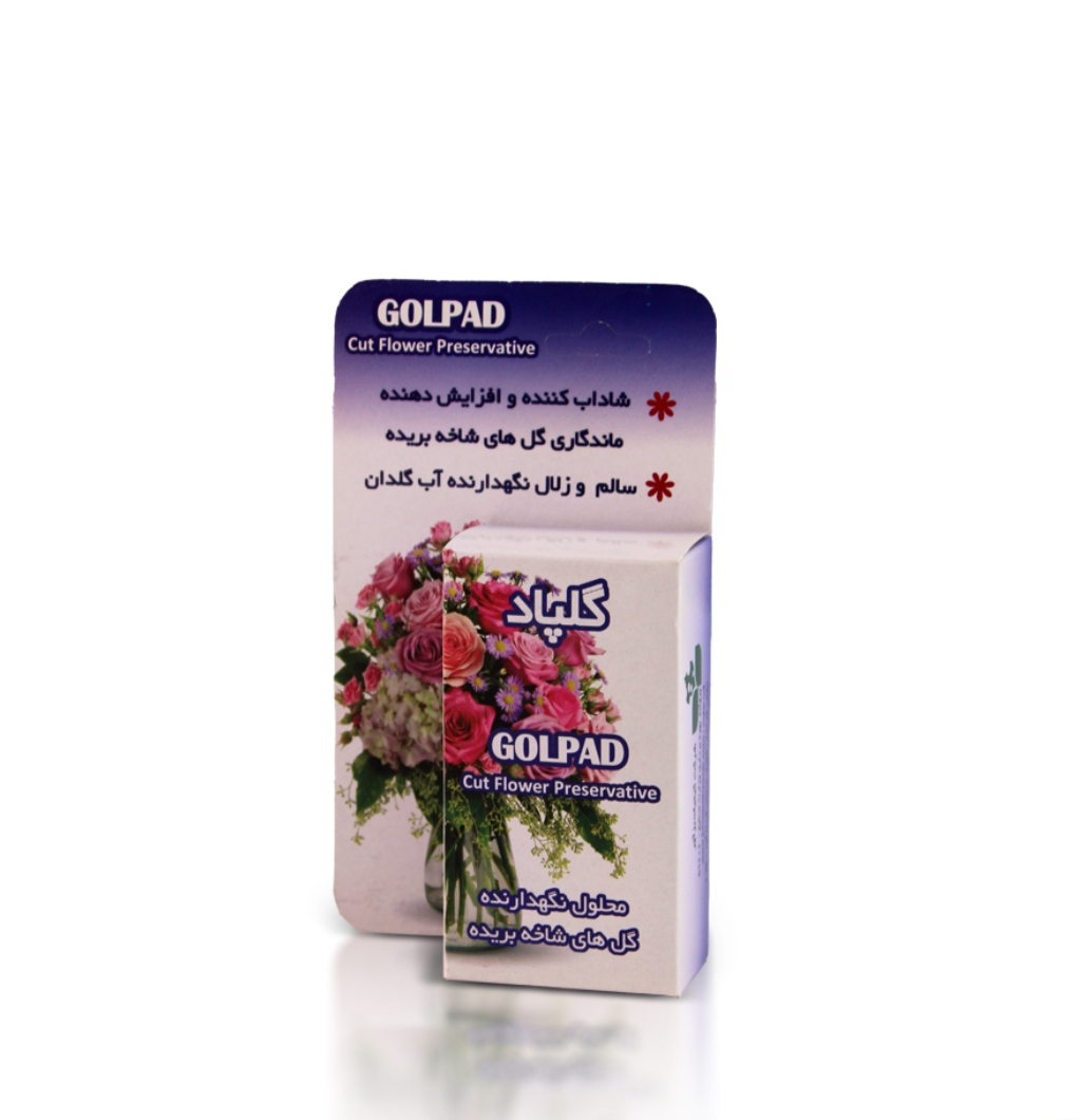 تصویر 1 از خرید مستقیم نگهدارنده گلهای شاخه بریده + تولیدکننده