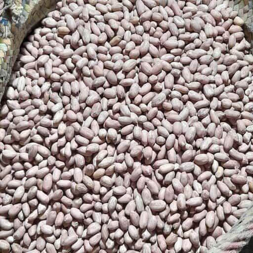 بادام زمینی معروف گیلان با کیفیت ممتاز و طعم بی‌ نظیر