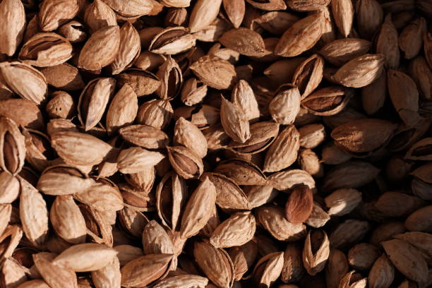 بادام درختی پوست کاغذی برشته شده در دمای ۱۴۰ درجه