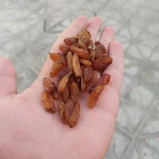 تصویر 1 از کشمش آفتابی کاشمر انتخابی عالی برای خانواده