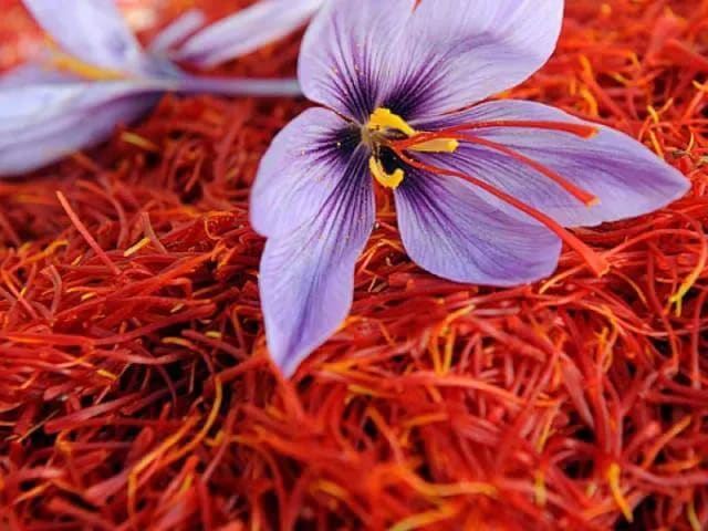 تصویر 4 از زعفران بسته بندی صادراتی با طعم غنی و بسته‌ بندی استاندارد