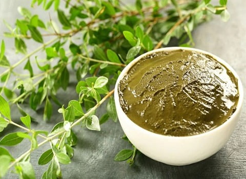 تصویر 3 از حنا تتو سبز تازه با آسیاب نرم و رنگ طبیعی