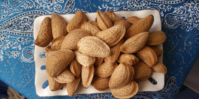 تصویر 1 از بادام درختی با پوست تازه و درجه یک