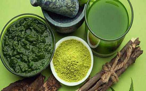 تصویر 4 از حنا تتو آماده استفاده برای طراحی سریع