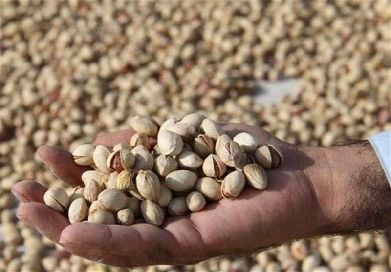 پسته شور عمده مناسب مصارف صنعتی و قنادی