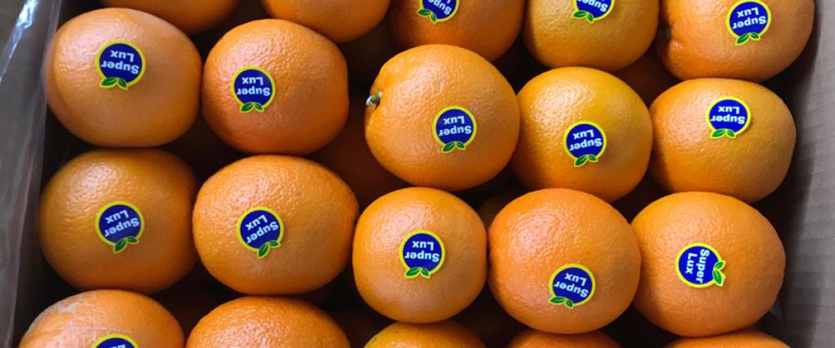 پرتقال مارس با طعم شیرین و بافت آبدار با پوستی نازک