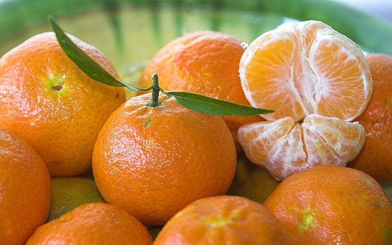 تصویر 2 از نارنگی زودرس با طعم شیرین و رسیدگی سریع